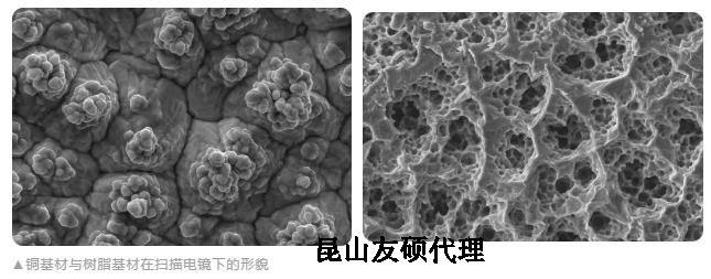 顺义蔡司顺义扫描电镜